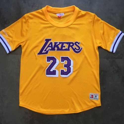 mitchell and ness lebron lakers